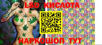 дмт Малгобек