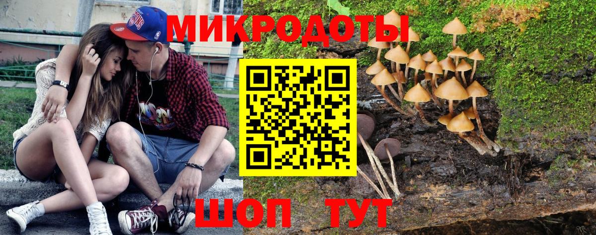 Калач-на-Дону  Псилоцибиновые грибы ЛСД  Галлюциногенные грибы Cubensis  Вход с VPN 